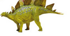 ステゴサウルス模型